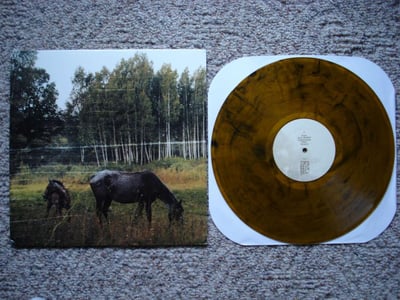 Pianos Become The Teeth - Old Pride (Amber Transparent) /300