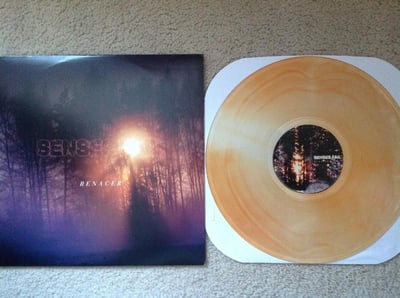 Senses Fail - Renacer (1st Press, Orange/Yellow Swirl /500) Staple Records