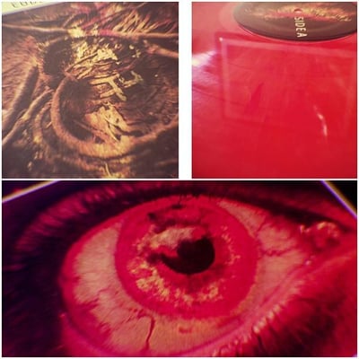 Code Orange Kids - Love Is Love//Return To Dust - Orange - /728 - Deathwish