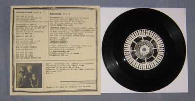 Belgrado - Panopticon/Vicious Circle | La Vida Es Un Mus, mus-66 | black /700(1000)