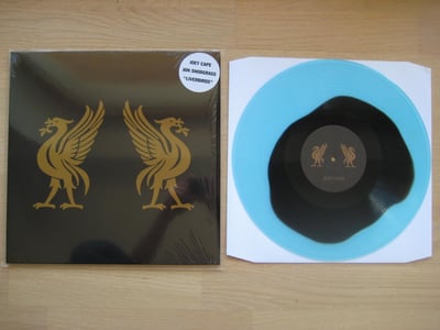 Joey Cape & Jon Snodgrass: Liverbirds (Destiny Records 2013 / blue w/ black spot / insert) /500
