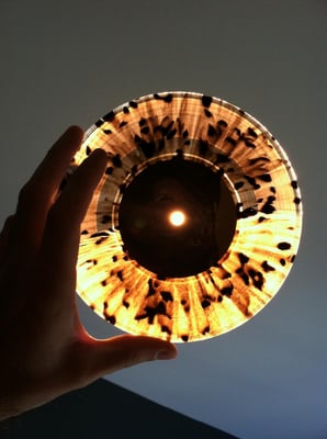 The Story So Far///Stick To Your Guns - Split (Beer w/ Black Splatter /500)