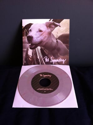 Pet Symmetry - Two Songs About Cars. Two Songs With Long Titles. (First Press: Purple Random Mix /779)