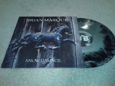Brian Marquis - Snow Damage | Black & Silver Swirl | /524 | 2011 | HMG-001