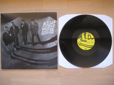 Night Birds: Born To Die In Suburbia (Taken By Surprise Records 2013 / black / lyric sheet / download code / A2 poster / button / sticker & small ad) /500