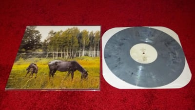 Pianos Become the Teeth- Old Pride (Gray Marble)/500 Sixth Pressing