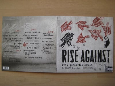 Rise Against: Long Forgotten Songs - B-Sides & Covers 2000 - 2013 2xLP (Interscope Records 2013 / black / 180g / gatefold / download code)
