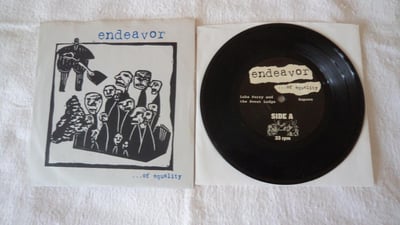 endeavor ‎- ...of equality (1995, phyte records) [black vinyl, repress]