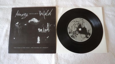 linsay / enfold - the first is the first... the second is a nobody split (1999, per koro records) [black vinyl]