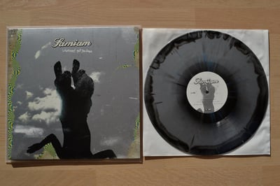 Samiam: Whatever's Got You Down (No Idea Records 2013 / "Stormy Weather" [black Aside & grey Bside w/ blue splatter] / lyric sheet / reissue)