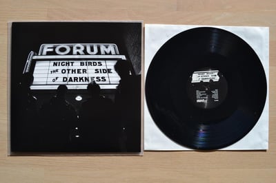 Night Birds: The Other Side Of Darkness (Grave Mistake Records 2011 / black / download code / white label) /890