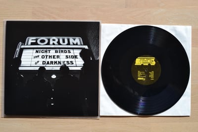Night Birds: The Other Side Of Darkness (Grave Mistake Records 2011 / black / download code / yellow label / 4th press) /500