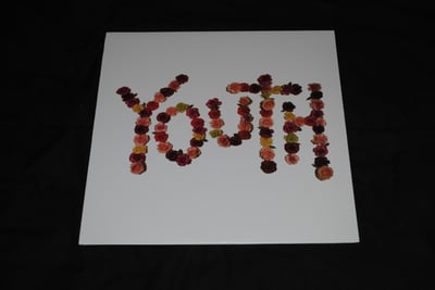 Citizen - Youth | (Half Red/Half White - LT 900) [1st on Run For Cover Records] *SOLD $20.00*