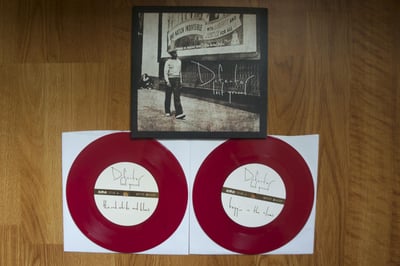 Defeater - Lost Ground 2x7"