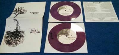 Melissa & Paul- Distractions/Goin' Home Double EP (2 7" records) (Mixed Color)/500 First Pressing