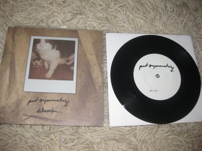 Pet Symmetry/Dikembe. Storm Chasers Records. 1st Press. Black/331