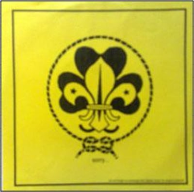 GUIDINGLINE - SORRY - 1999 - THIRD PARTY RECORDS - RECORD RELEASE SLEEVE,ORANGE VINYL (200)