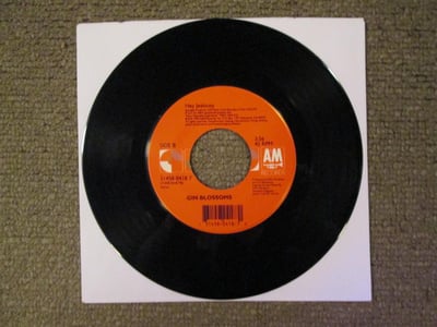 Gin Blossoms - Hey Jealousy / Found Out About You 7" (Black Vinyl)