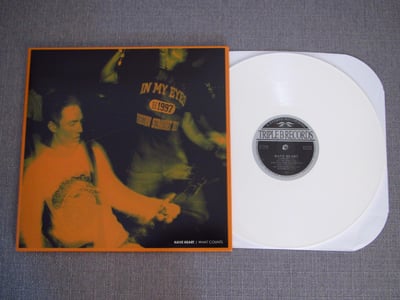Have Heart - What Counts 12" (Triple B) - White/1500