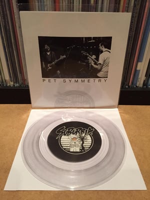Pet Symmetry///The Saddest Landscape - Split (Clear /100)