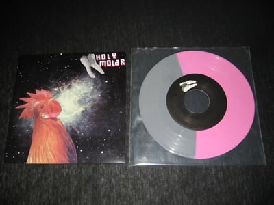 Holy Molar - Live at the San Diego Metropolitan Correctional Center (grey/pink)