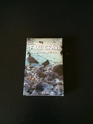 Fake Grave | Wilt/Future Ghosts | White /100 | 1st Press