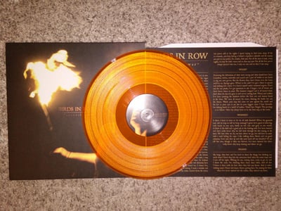 Birds In Row | Personal War | Transparent Orange