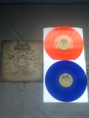 Enter Shikari - Take To The Skies - A/B - Red/Orange Translucent, C/D - Blue Translucent vinyl (Signed)
