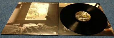 Tim Heidecker- In Glendale (Black) First Pressing