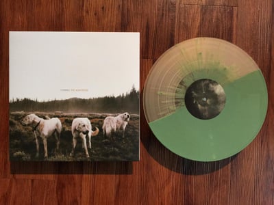 Foxing | The Albatross | 7th pressing | Half Milky Clear / Half Olive Green / Green Splatter /?