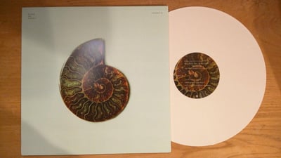 Outrun The Sunlight - Terrapin (Bone White, /100)