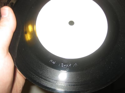 AFI Fly in the Ointment 1995 Wedge Test Press, No centre labels 1/38