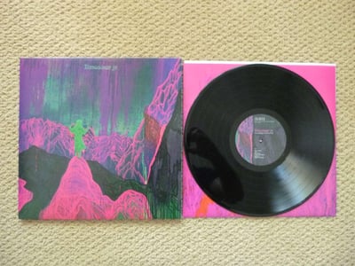 Dinosaur Jr. - Give A Glimpse Of What You're Not (Black) /?