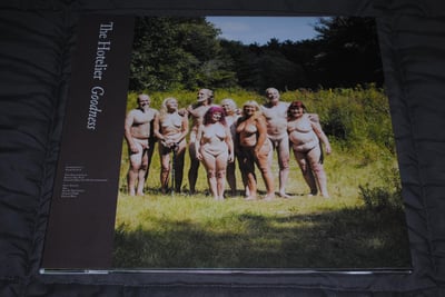 Hotelier, The - Goodness | (2xLP Midnight & Smitten - LT 300) [1st on Tiny Engines]