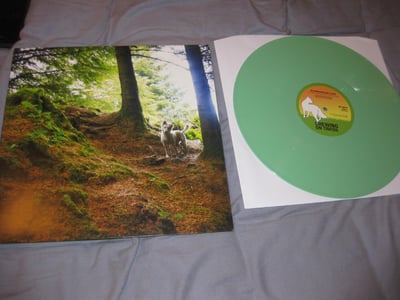 Chewing On Tinfoil "Marrowbone Lane" Not on Label. 1st Press. Green/???