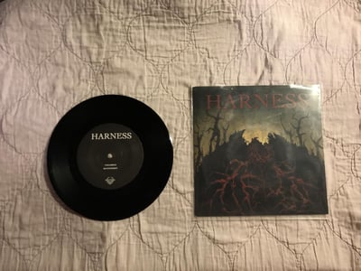 Harness/Disgrace - Split - Closed Casket Activities - Black