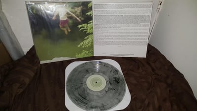 World Is A Beautiful Place & I Am No Longer Afraid To Die, The || Whenever, If Ever || Clear w/ Black Smoke (/???) || Gatefold || 2015 || Topshelf Records – TSR082