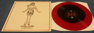 Fossil Youth- A Glimpse of Self Joy (Black w/ Red Center)/100 First Pressing