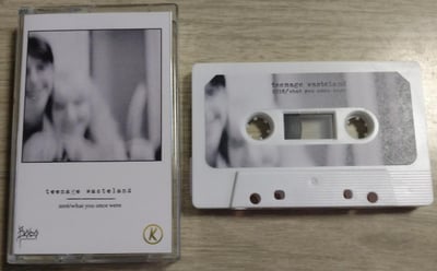 Teenage Wasteland- 2016/What You Once Were (White)/50 First Pressing