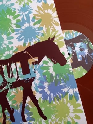 # CAPSULE | s/t | robotic empire | 2010 | vinyle marron