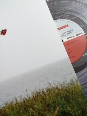 # DANIEL STRIPED TIGER | no difference | clean plate / purepainsugar | 2011 | vinyle transparent