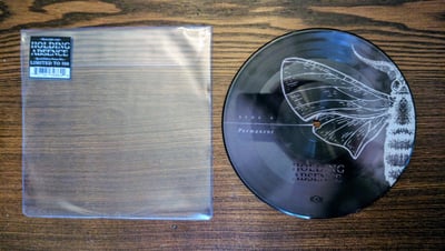 Holding Absence ‎– Permanent/Dream of Me (Picture Disk, /500)