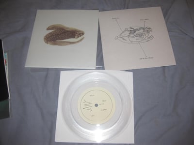Brand New "Mene" Procrastinate! Music Traitors. Clear.