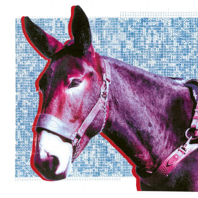 Protomartyr - Ultimate Success Today (Domino, WIGLP464XM) · LP · Red & Blue Vinyl · Limited Edition
