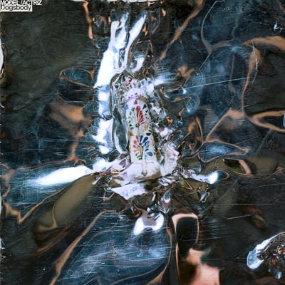 Model/Actriz - Dogsbody (True Panther Sounds, TPS-012) · LP · Clear · Limited Edition