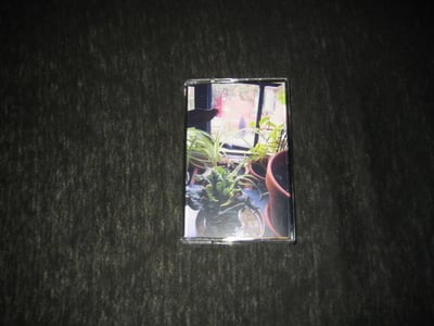 Ancestors - II