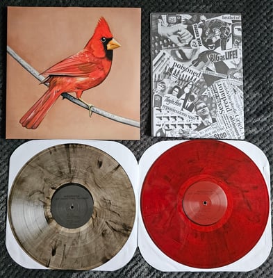 Alexisonfire - Old Crows/Young Cardinals | 2x12" | Dine Alone Records | Clear w/ Black Smoke/Red w/ Black Smoke | /515