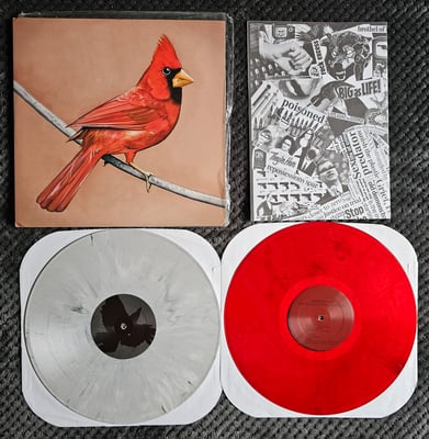 Alexisonfire - Old Crows/Young Cardinals | 2x12" | Dine Alone Records | Grey w/ Black Swirl/Clear Red w/ Black Swirl | /1020