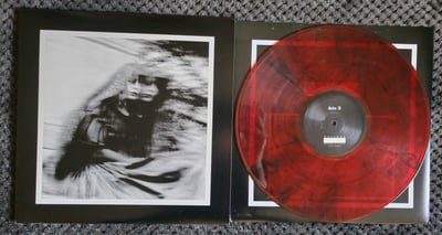 Gallows - Desolation Sounds | 12" | Bridge 9 Records | Red w/ Smoke | /100