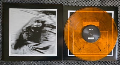 Gallows - Desolation Sounds | 12" | Bridge 9 Records | Orange w/ Smoke | /200